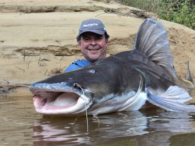 Amazone Guyana okt 2026