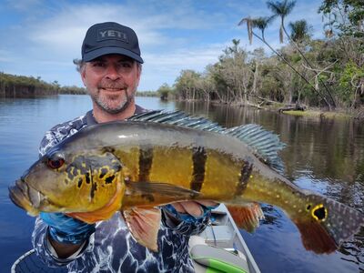 Peacock Bass Houseboat feb 27