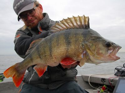 Baars XXL maart 2026