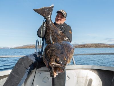 Rien de Wolf Noorwegen festival mei 2026