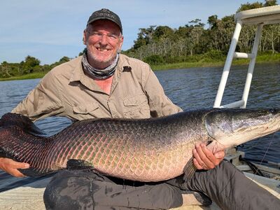 Arapaima Bolivia sep 2027