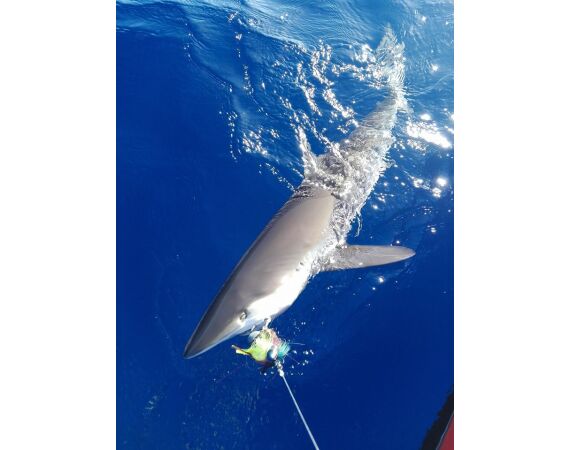 Mexico, Puerto Aventuras