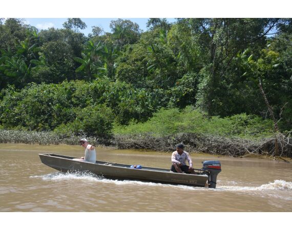 Amazone Suriname