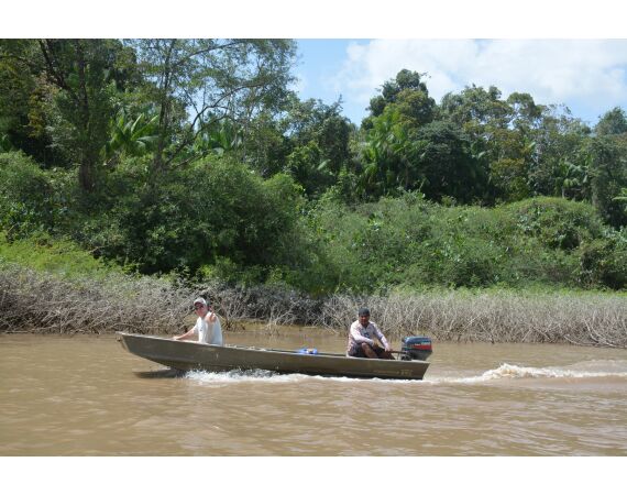 Amazone Suriname