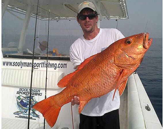 Verenigde Arabische Emiraten