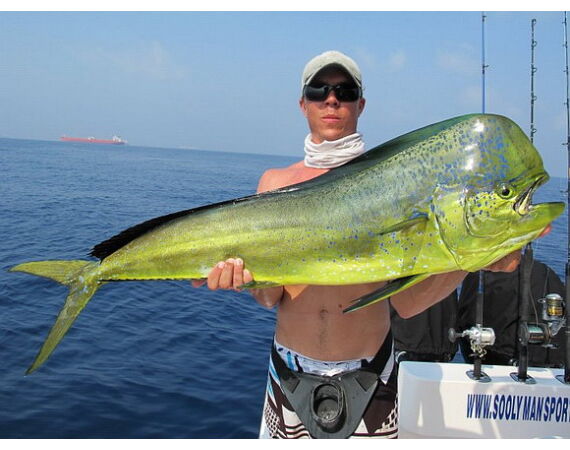 Verenigde Arabische Emiraten