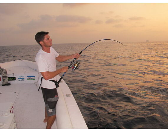 Verenigde Arabische Emiraten