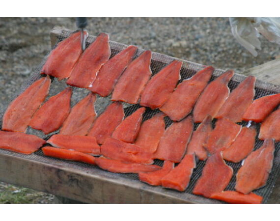 Alaska zalm kamp