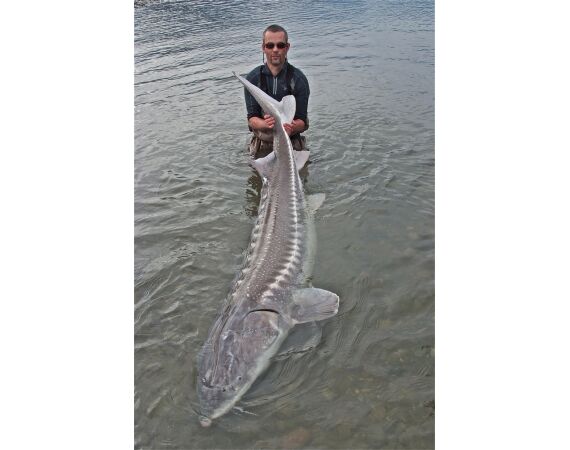 Canada zalm en steur