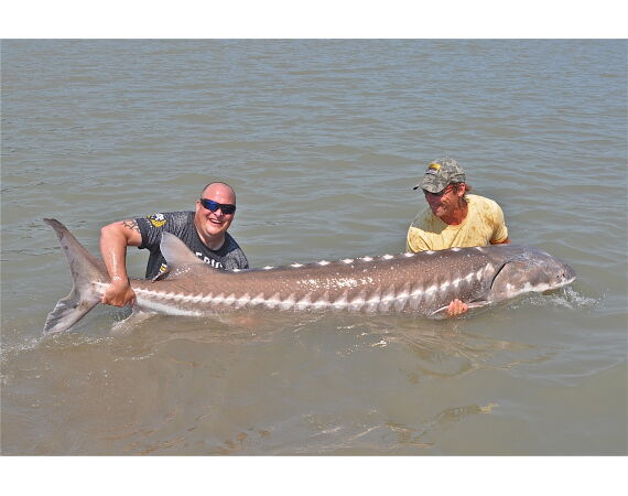 Canada zalm en steur