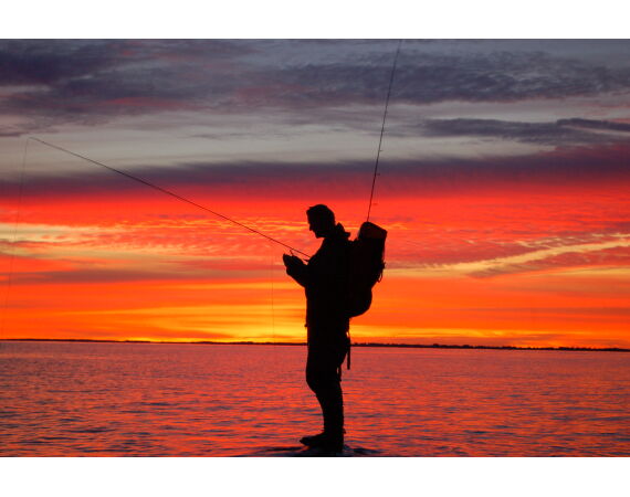 Moen, Denemarken Zeeforel