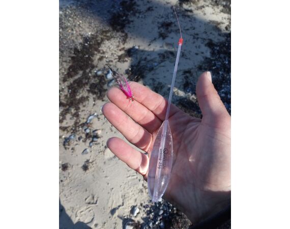 Moen, Denemarken Zeeforel