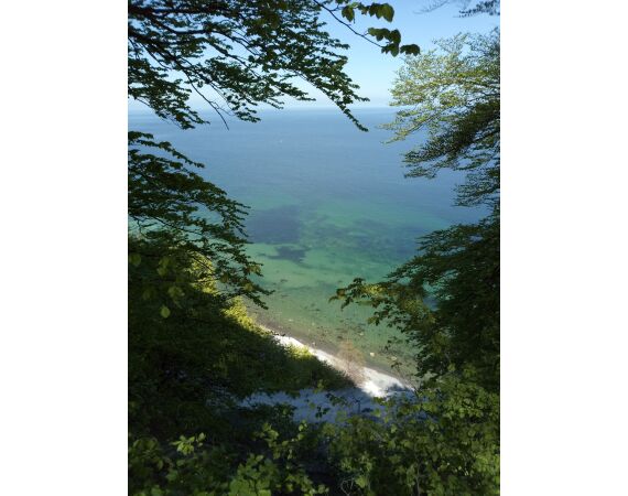 Moen, Denemarken Zeeforel