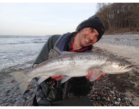 Moen, Denemarken Zeeforel