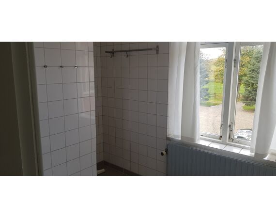 Moen, Denemarken Zeeforel