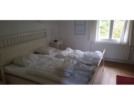 Moen, Denemarken Zeeforel