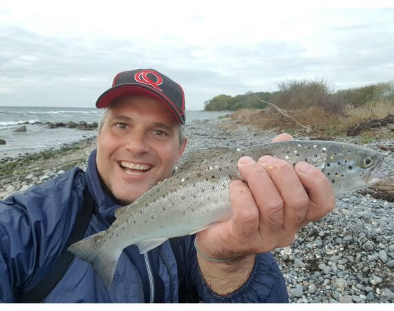 Moen, Denemarken Zeeforel