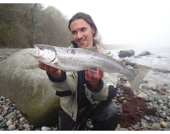 Moen, Denemarken Zeeforel