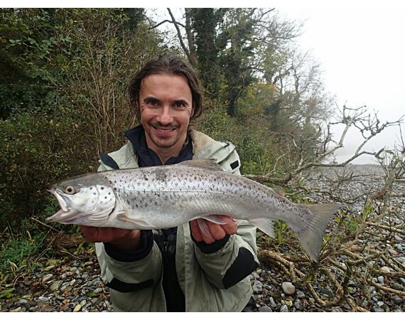 Moen, Denemarken Zeeforel