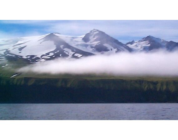 Beringzee, heilbot en zalm Alaska