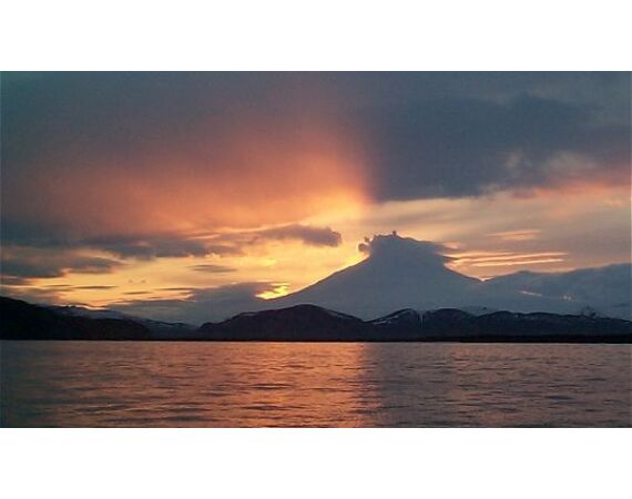 Beringzee, heilbot en zalm Alaska