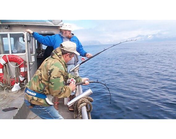 Beringzee, heilbot en zalm Alaska