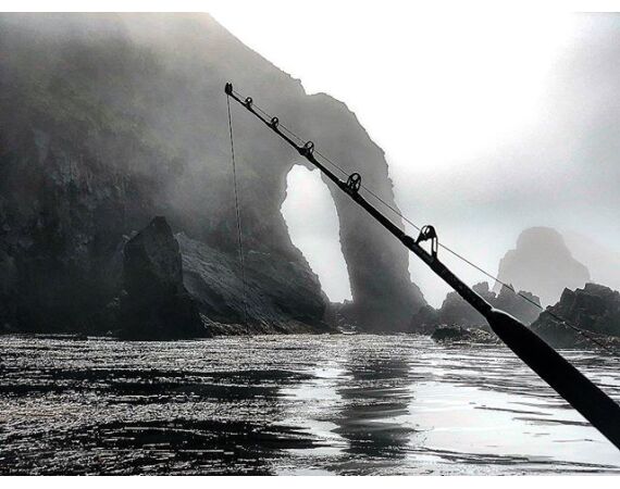 Beringzee, heilbot en zalm Alaska