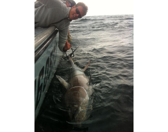 Nova Scotia, blauwvin tonijn, Canada