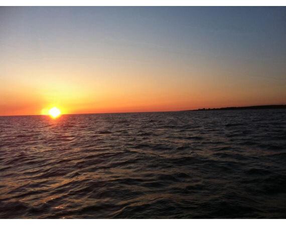 Nova Scotia, blauwvin tonijn, Canada