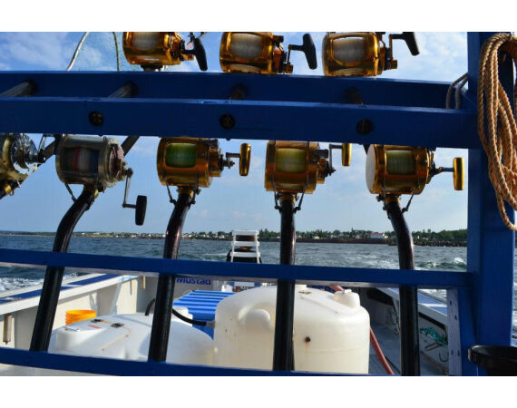 Nova Scotia, blauwvin tonijn, Canada