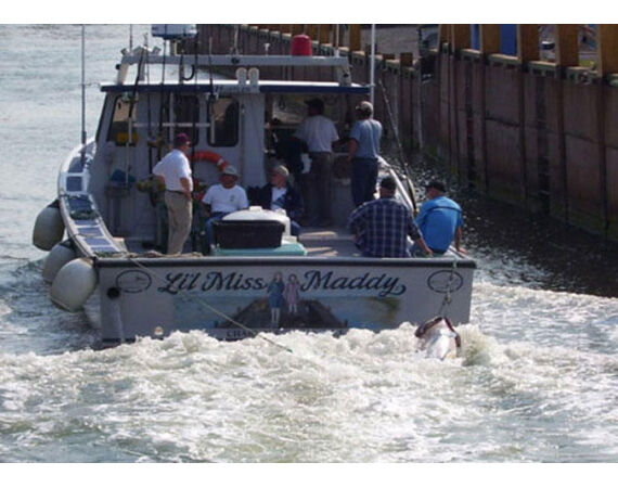 Nova Scotia, blauwvin tonijn, Canada