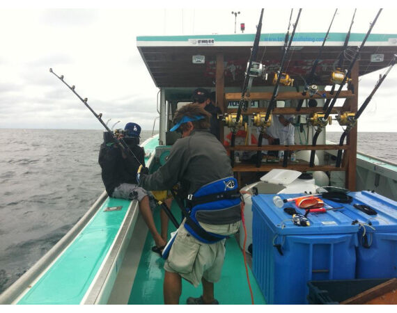 Nova Scotia, blauwvin tonijn, Canada