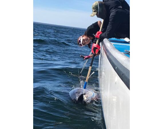 Nova Scotia, blauwvin tonijn, Canada