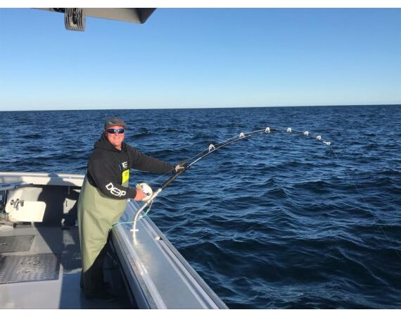 Nova Scotia, blauwvin tonijn, Canada