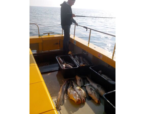 Hirtshals, Gele Rif, Denemarken