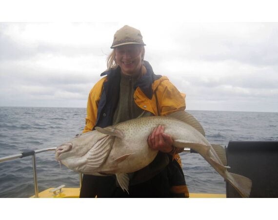Hirtshals, Gele Rif, Denemarken