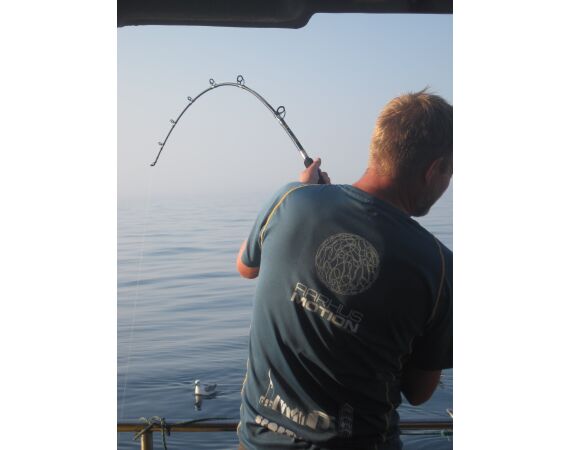 Hirtshals, Gele Rif, Denemarken