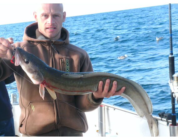 Ierland, Donegal zeevissen