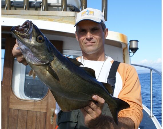 Ierland, Donegal zeevissen