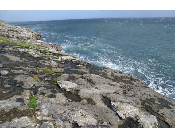 Ierland, Donegal zeevissen