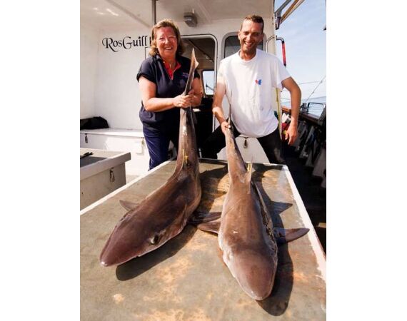 Ierland, Donegal zeevissen