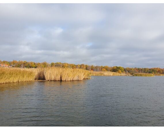 Smartlures Roofvis Festival 2026