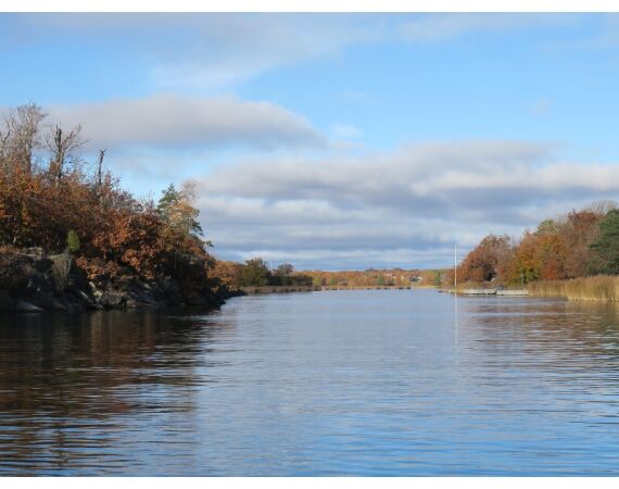 Smartlures Roofvis Festival 2026