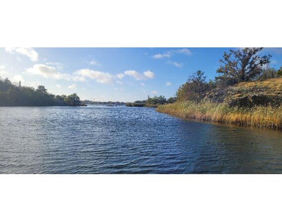 Smartlures Roofvis Festival 2026