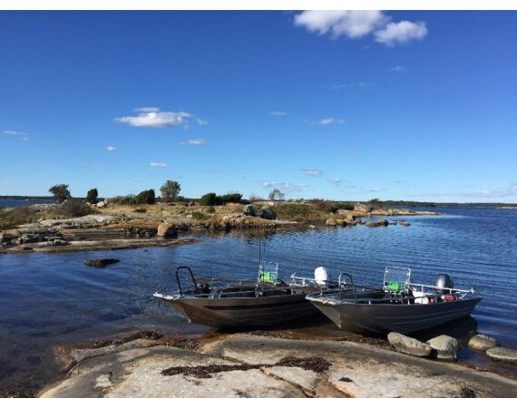 Smartlures Roofvis Festival 2026