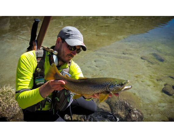 Op de top van de Pyreneeën