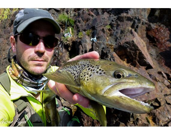Op de top van de Pyreneeën