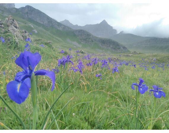 Op de top van de Pyreneeën