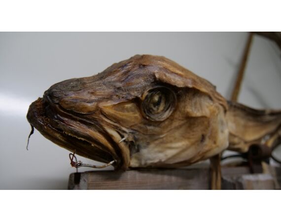 Hemmingodden Nappstraumen