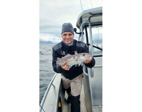 Hemmingodden Nappstraumen